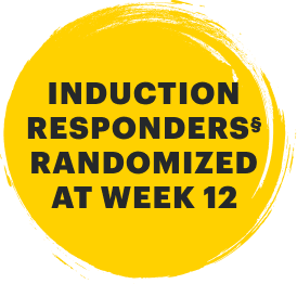 Induction responders randomized at Week 12