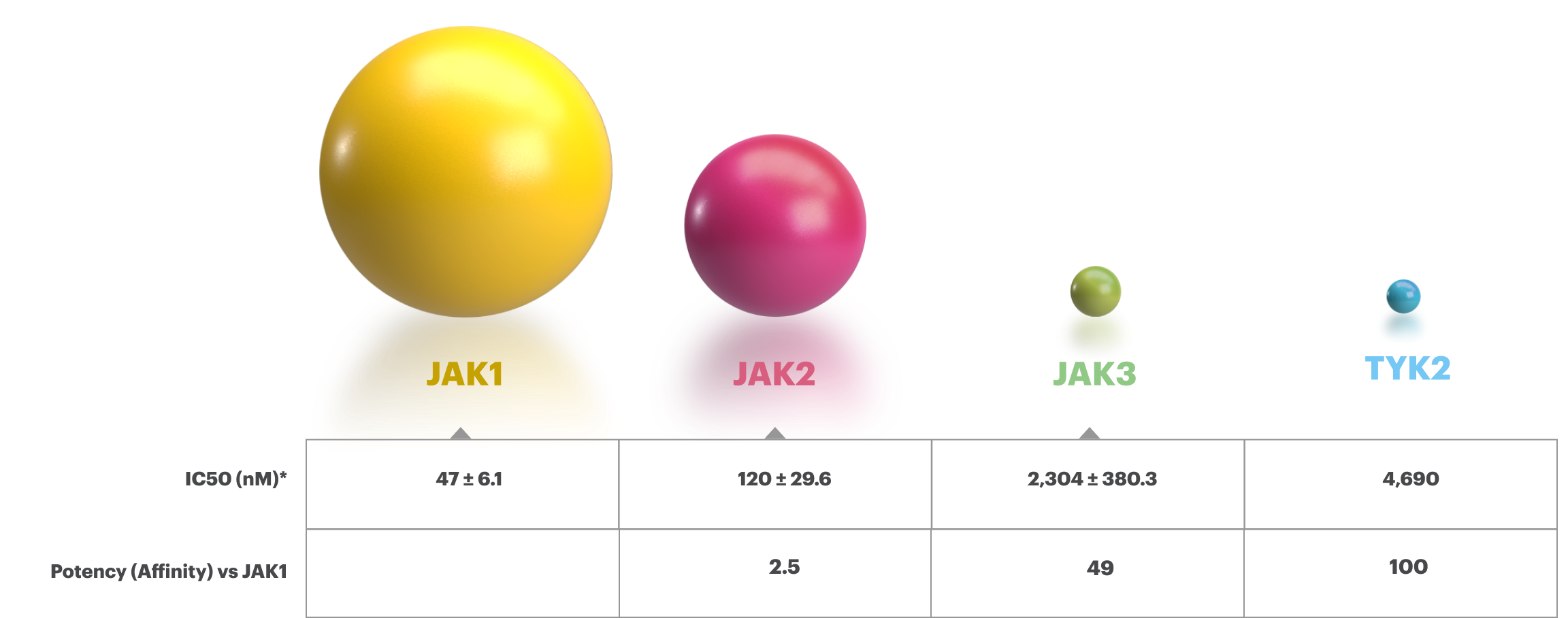 IC50 (nM)*: JAK1 is 47 plus or minus 6.1, JAK2 is 120 plus or minus 29.6, JAK3 is 2,304 plus or minus 380.3, TYK2 is 4,690. Potency (Affinity) vs JAK1 for JAK2 is 2.5, for JAK3 is 49, and TYK2 is 100.